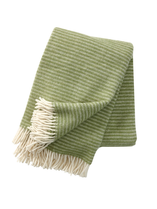 PLAID - Ralph Lime Blossom