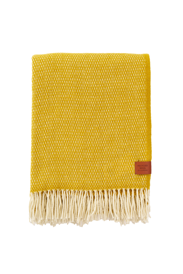 PLAID - Hugo Saffron