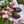 Load image into Gallery viewer, Cuir Suede - Brun
