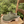Charger l'image dans la galerie, Sabots Hauts - Nubuck Green Olive
