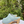 Load image into Gallery viewer, Sabots Hauts - Nubuck Taupe Ciel
